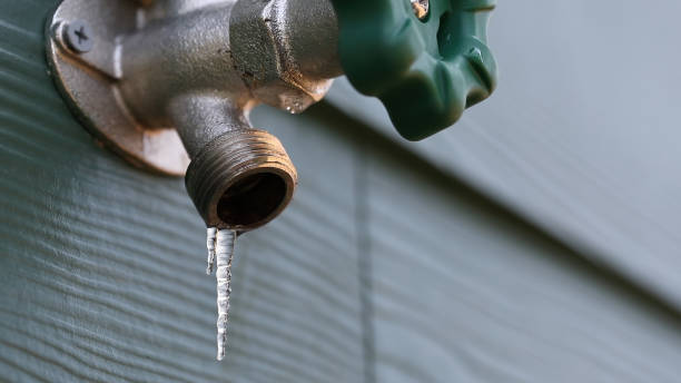 Professional Plumbing in Vineyards, FL
